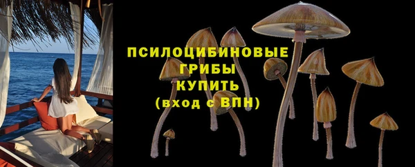 молекула духа Краснотурьинск