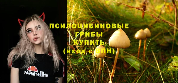 молекула духа Краснотурьинск