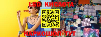 крисы Кингисепп