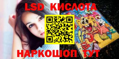 крисы Кингисепп