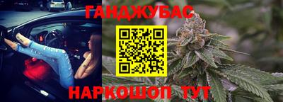 крисы Кингисепп