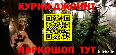 крисы Кингисепп