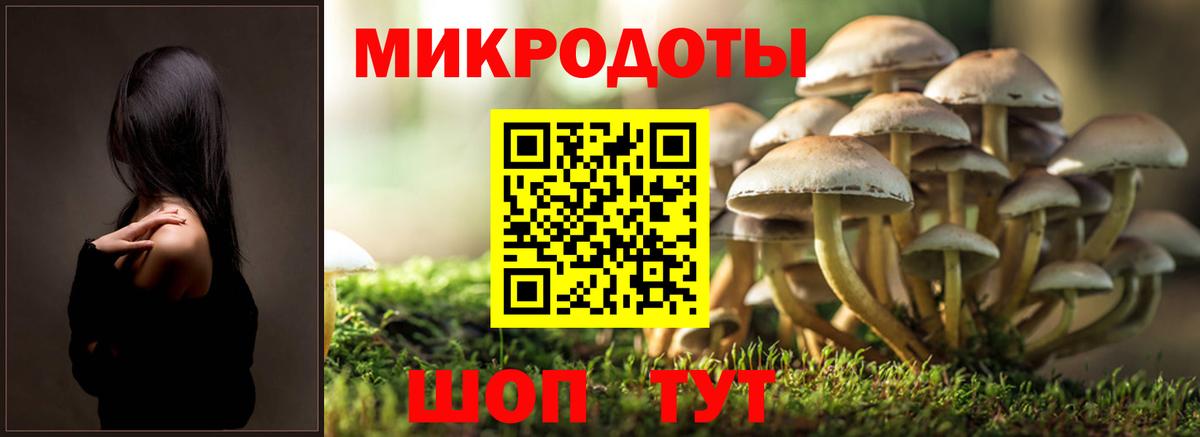 Псилоцибиновые грибы мицелий Новый Уренгой